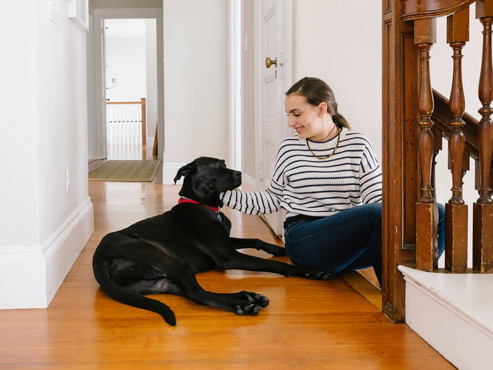 Why In-Home Pet Sitting Is the Best Choice for Your Pet’s Happiness